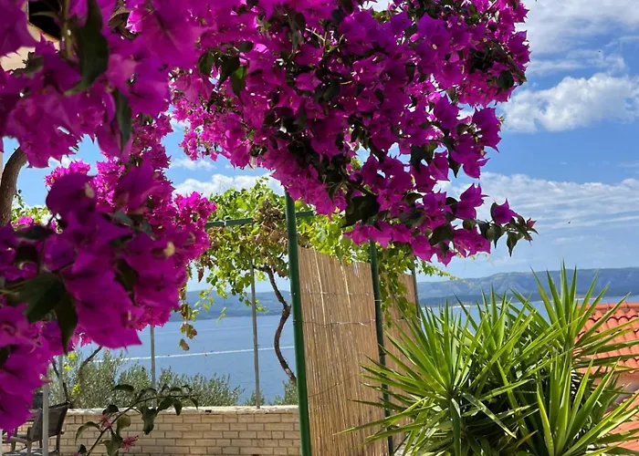 Mobile 5214-1 For 3 Pers In Апартаменты Мурвица